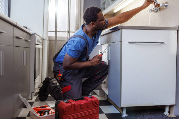 Best Garbage Disposal Repair and Installation  in Rochester, IL